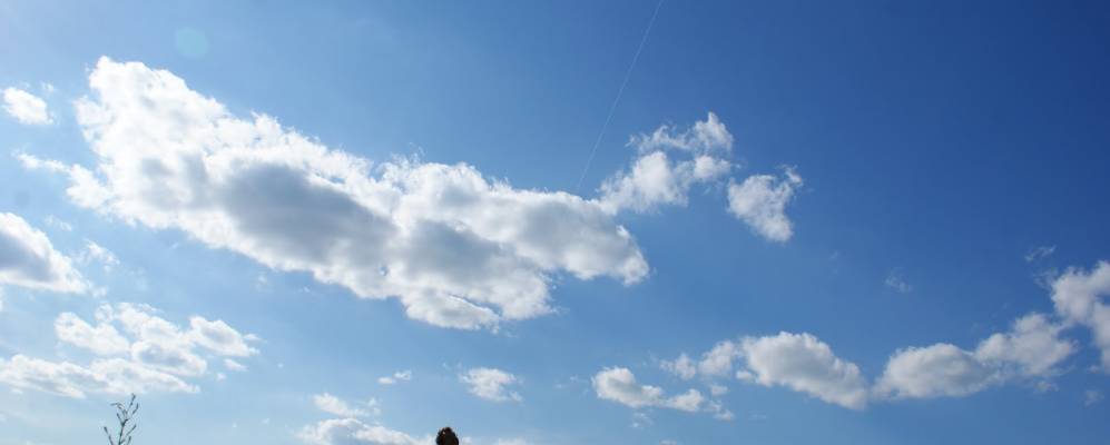 
            Фотография Маховщины