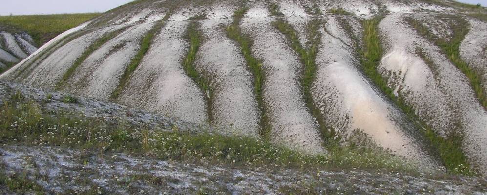 
            Фотография Насоново