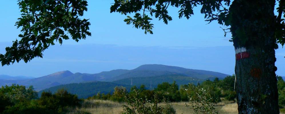 
            Фотография Jasseron