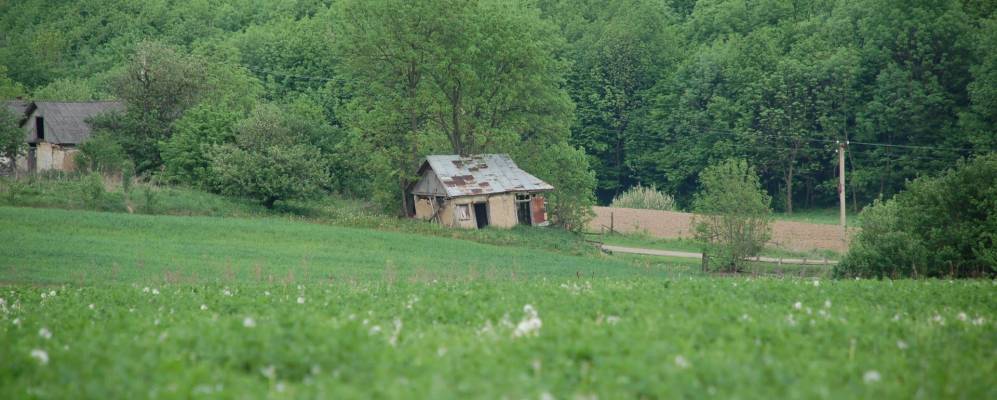 
            Фотография Красногорки