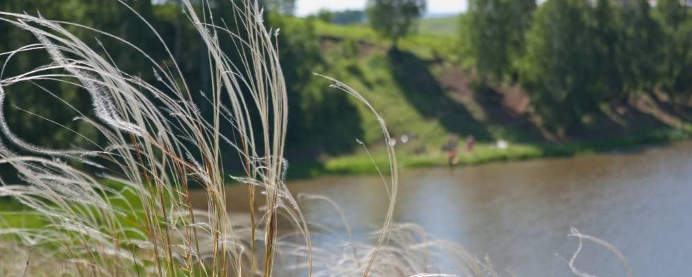 
            Фотография Кольчегиза