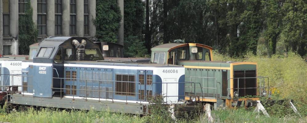 
            Фотография Лонго