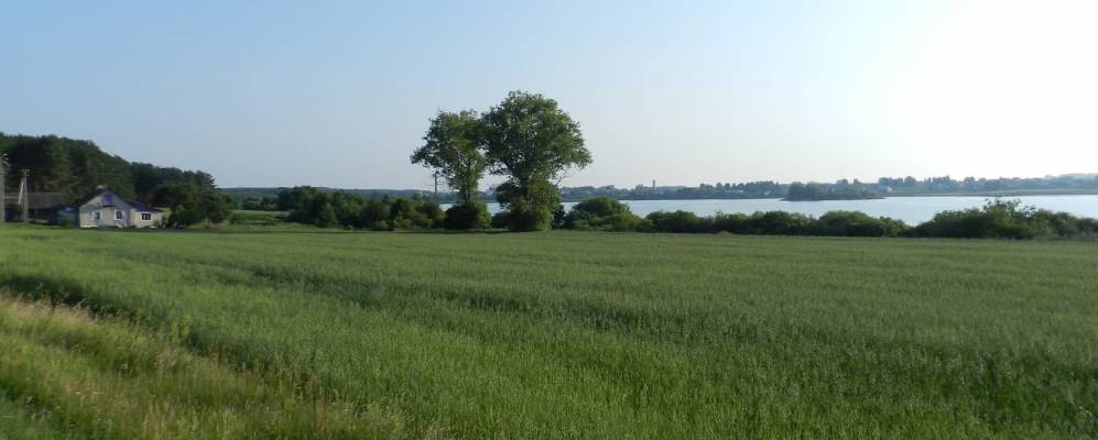 Фотография деревни Шуневцы