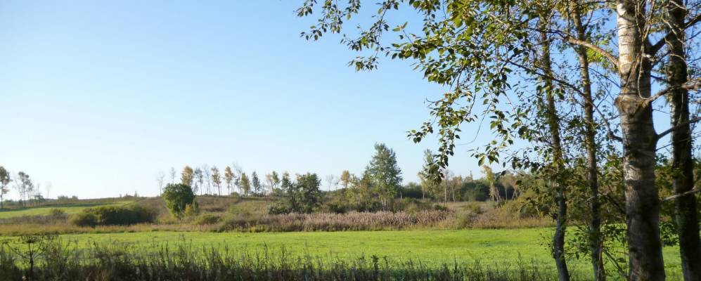 Фотография Трулино