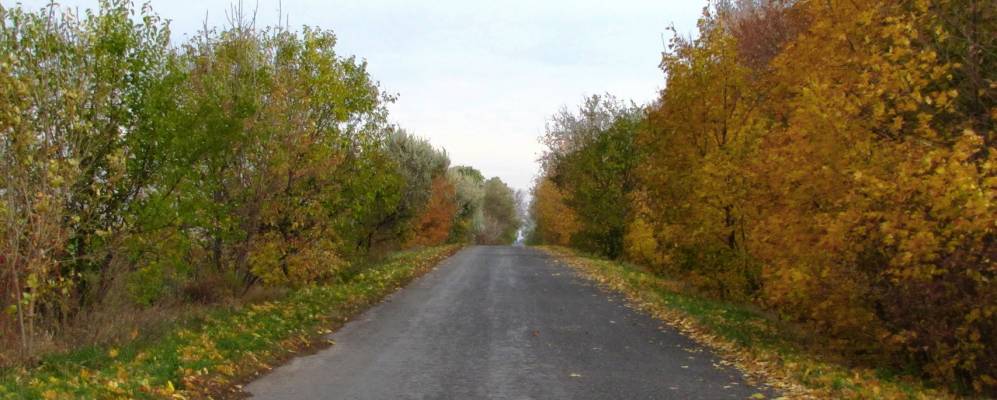 Фотография Чаплинцы