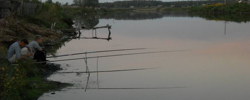 
            Фотография Ямана