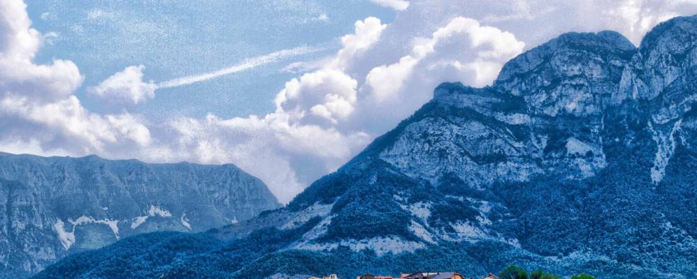 Фотография Ласпунии