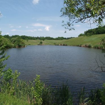 Новая Нелидовка