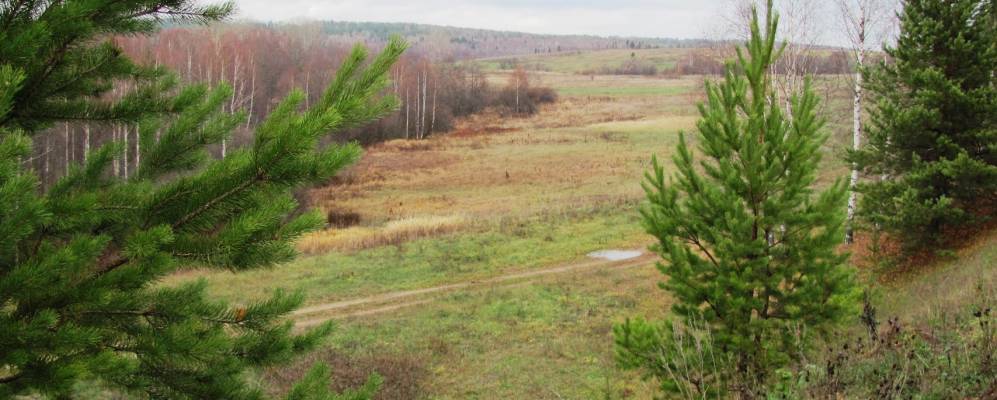 
            Фотография Жигалок