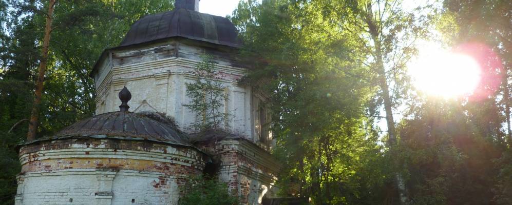 Фотография Осоково