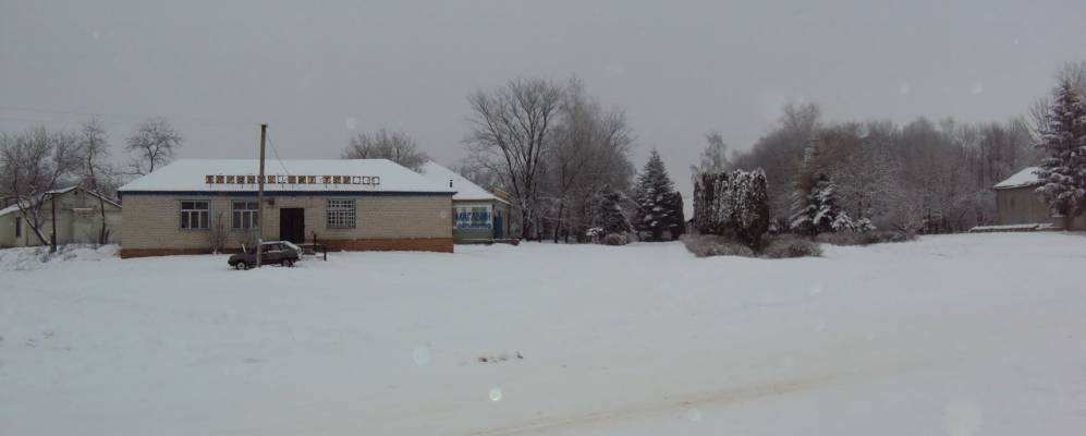 
            Фотография Светличного