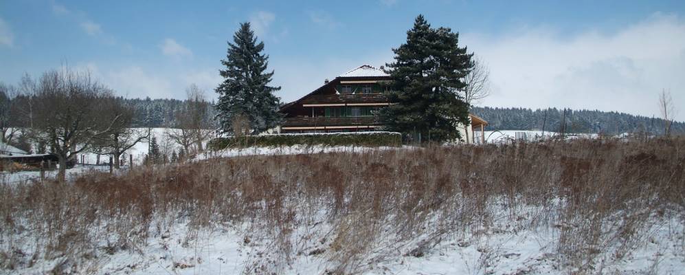 
            Фотография Конольфингена