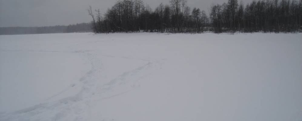 
            Фотография Сюрьги