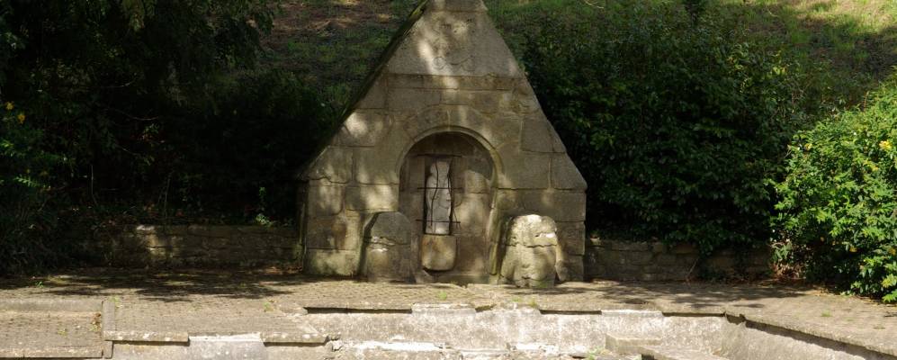 
            Фотография Плонеи