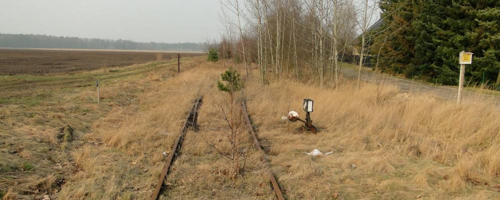 
            Фотография Парсау