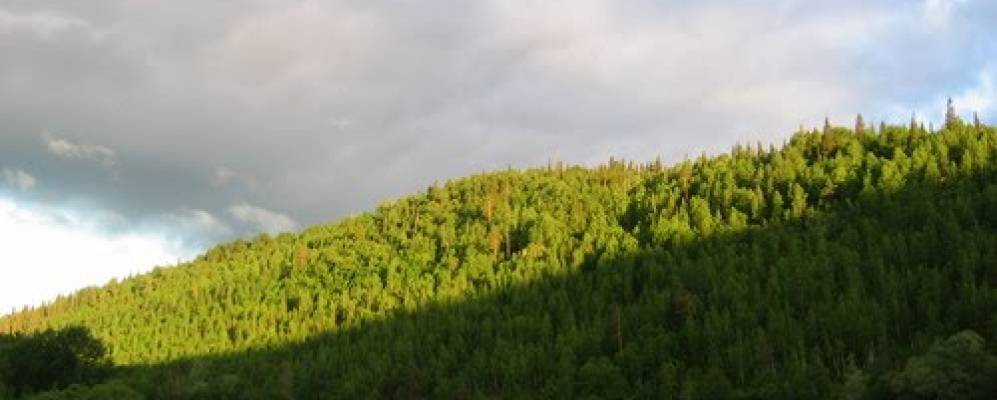 
            Фотография Дегтярки 