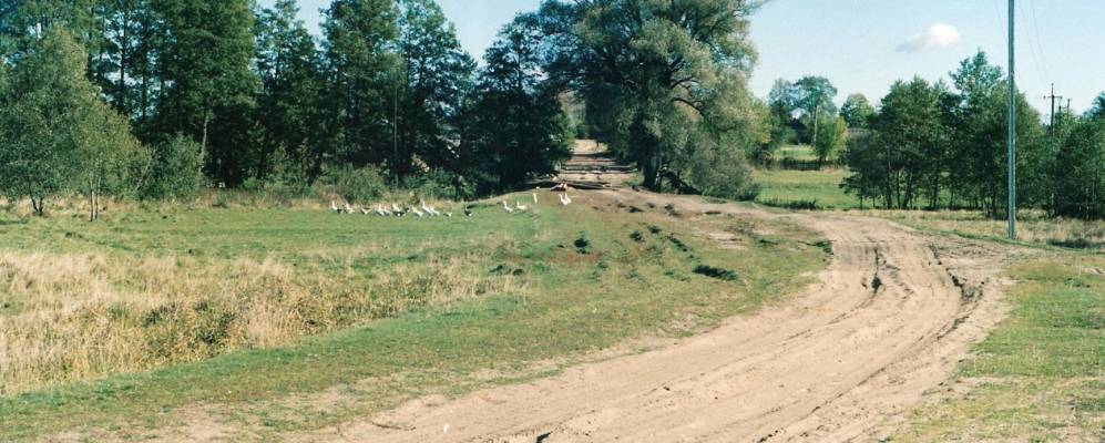
            Фотография Старой Гутки