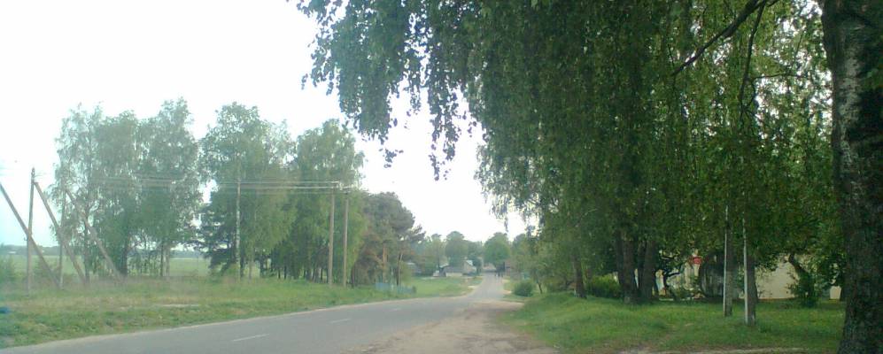 
            Фотография деревни Дворчане