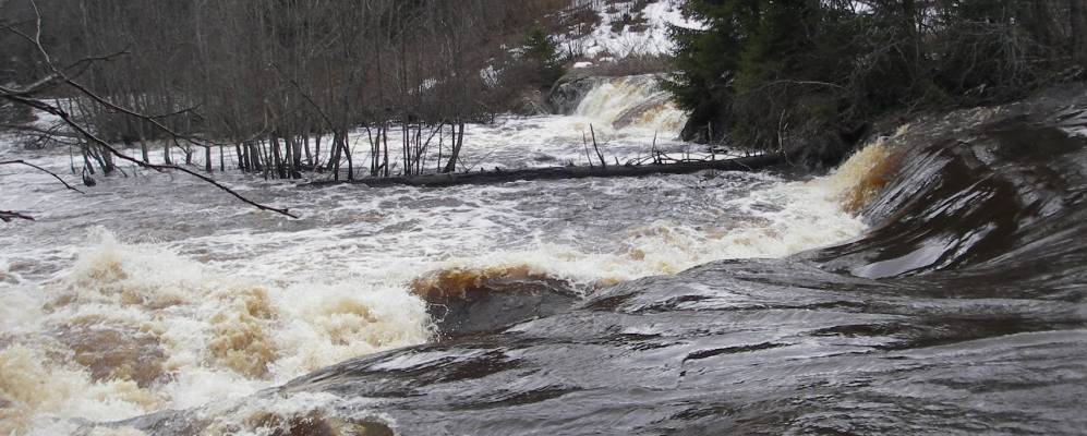 
            Фотография Леппяселькя