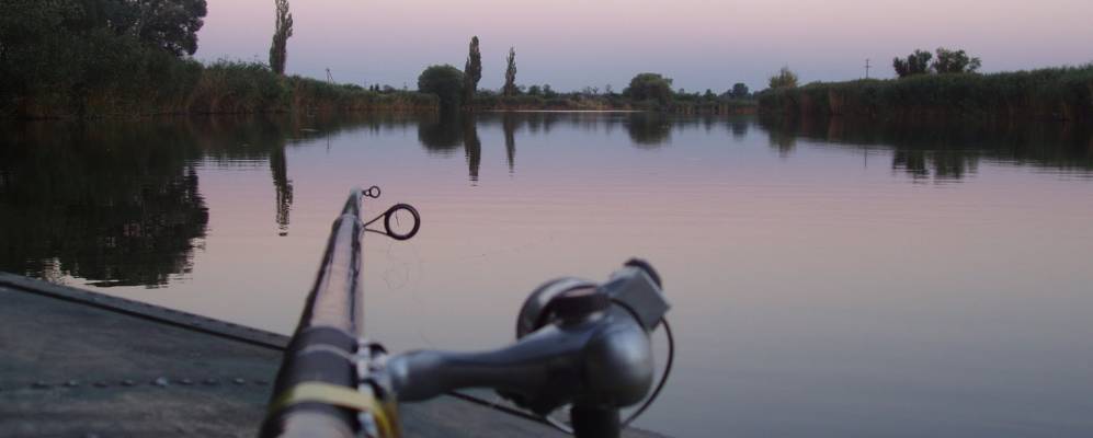 
            Фотография Южного