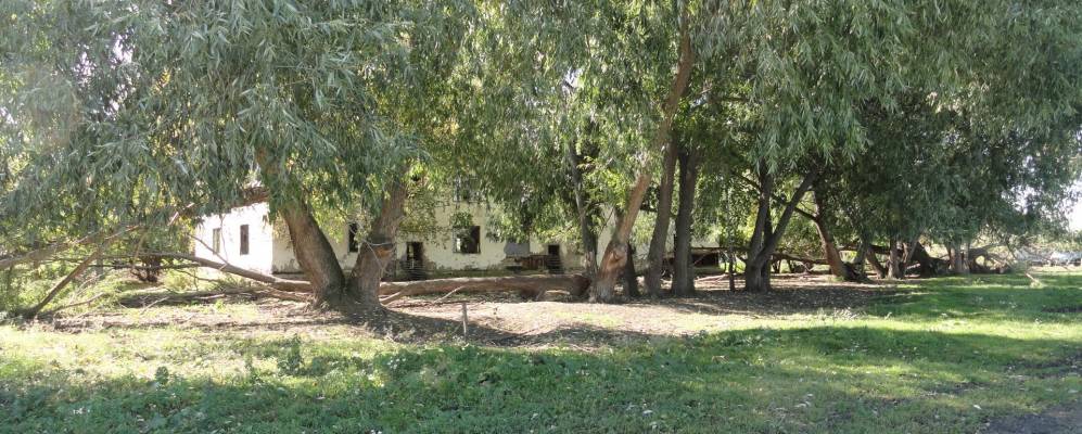 
            Фотография Казанки