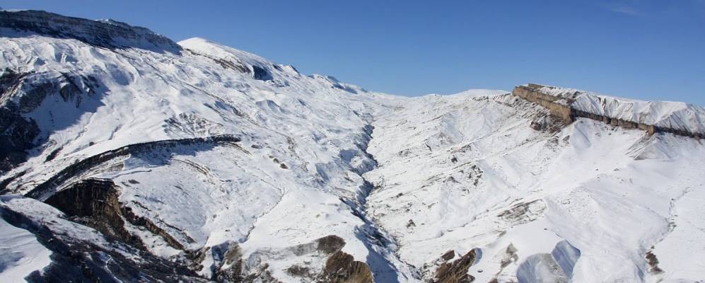 Фотография Кузуна