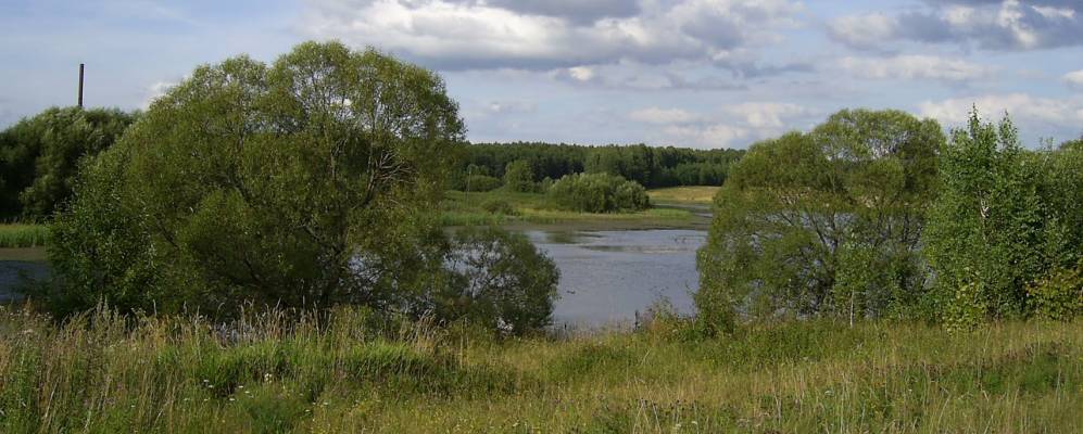 Фотография Нового Носково