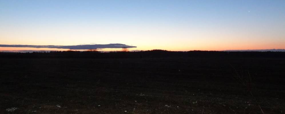 Фотография Боярских