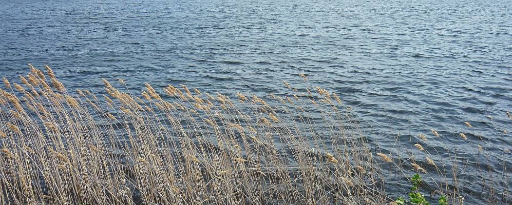 
            Фотография Сельцо-Сергиевки