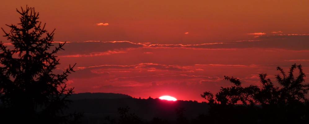 
            Фотография Селонкура