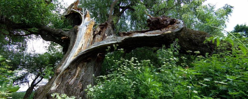 Фотография Харитоново