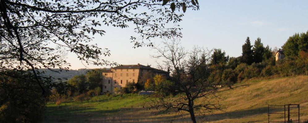 Фотография Колле