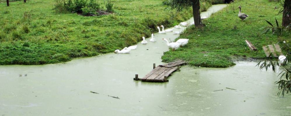 
            Фотография Кубни