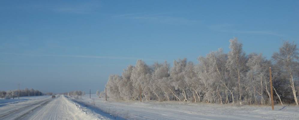 
            Фотография Козлиновского