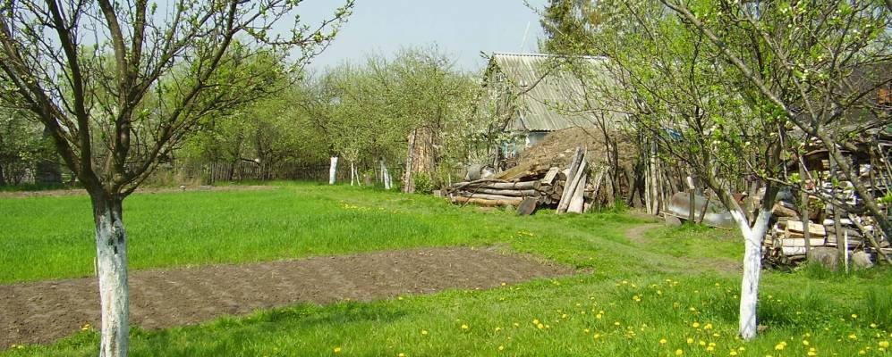 Фотография Субина