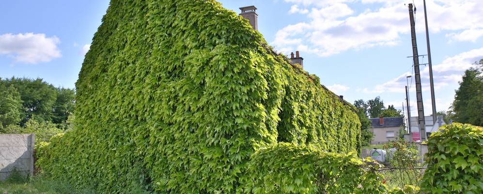 
            Фотография Буани-сюр-Бионна