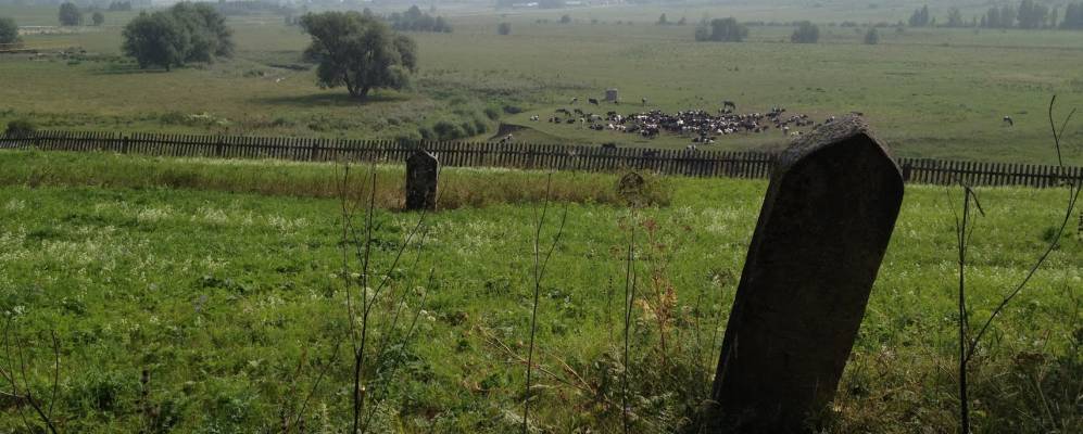 
            Фотография Кунгера