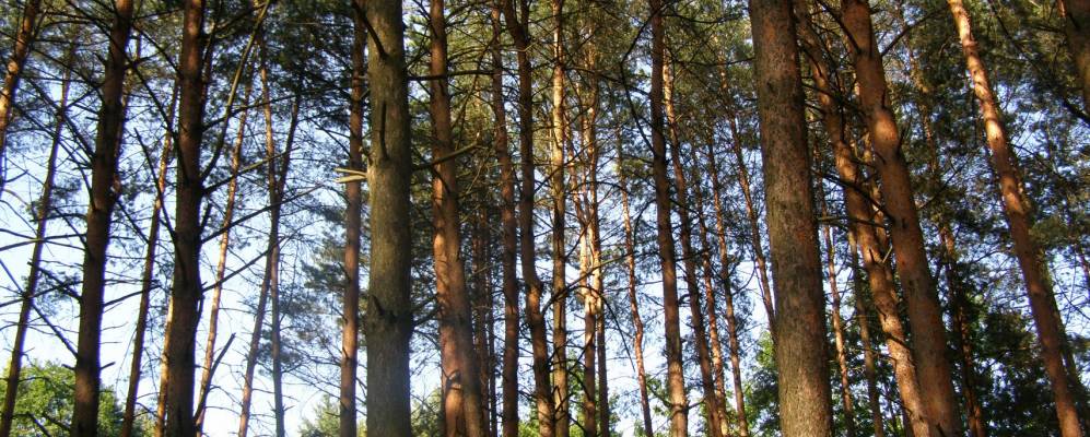 
            Фотография Свердлово