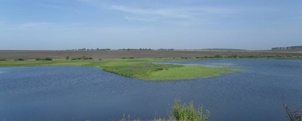 
            Фотография Никольского