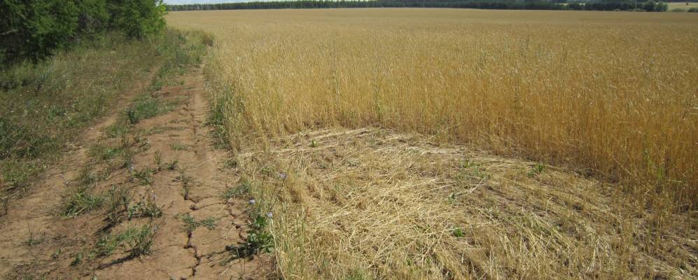 
            Фотография Ахтияла