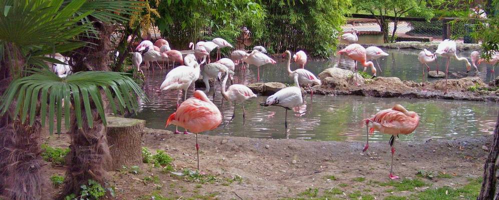 
            Фотография Вальбрембо