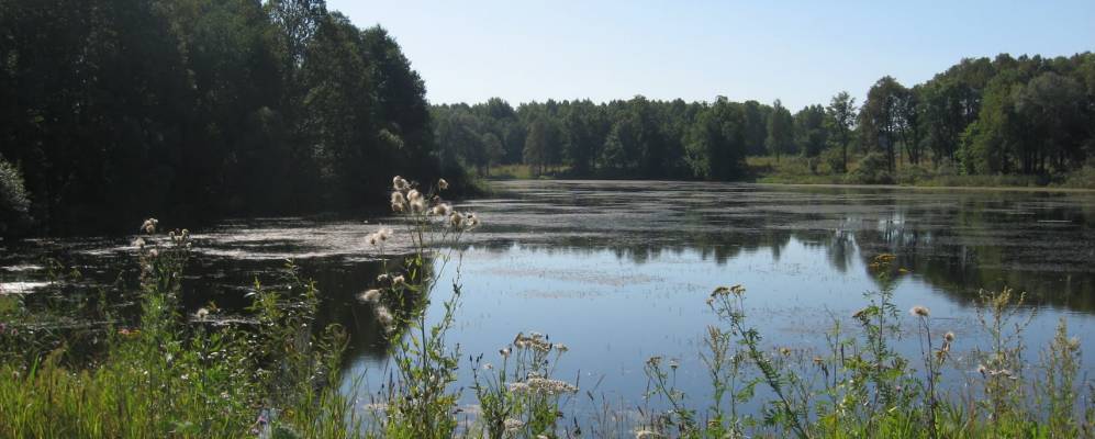 Фотография Новодяглево