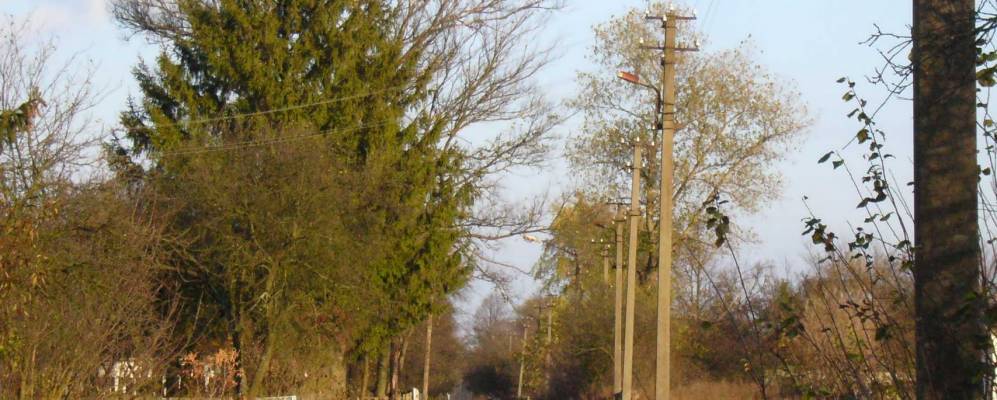 
            Фотография Великого Леса