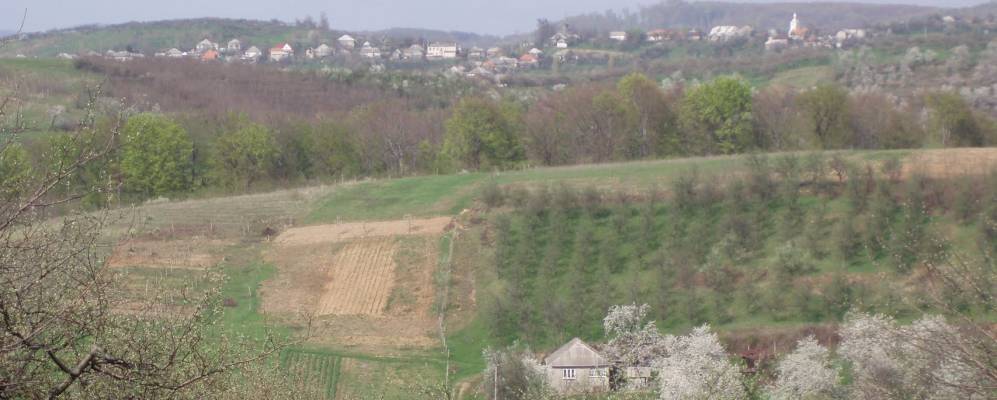 
            Фотография Новоселицы