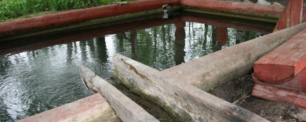 Фотография Сарбалы