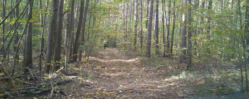 
            Фотография Чертеима