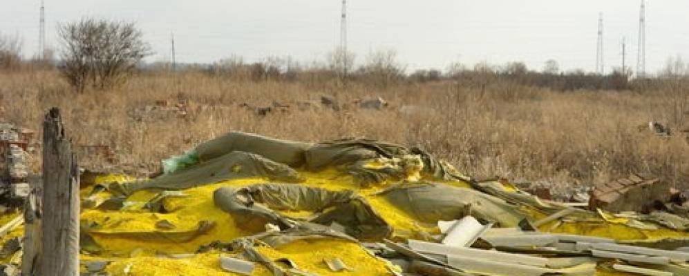 
            Фотография Веселого