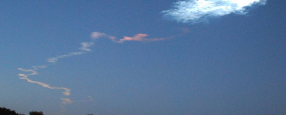 
            Фотография Гиффорда