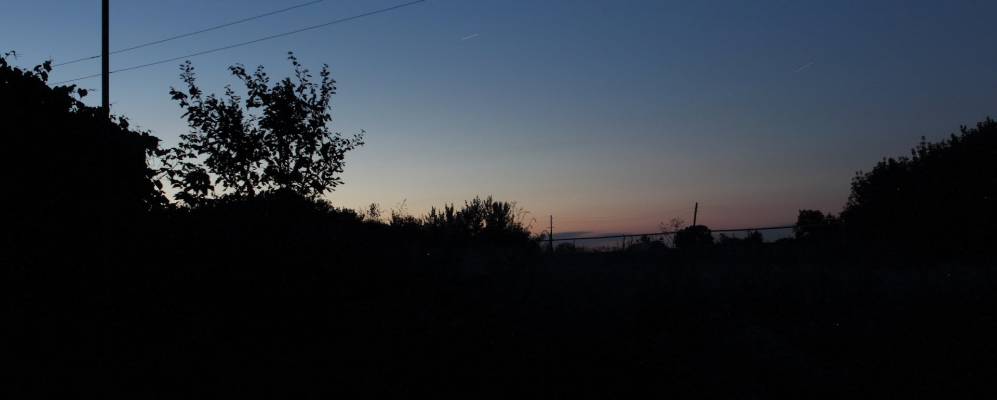 
            Фотография Уточки