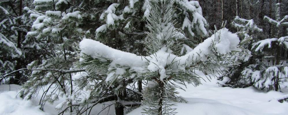 
            Фотография Доброй Луки